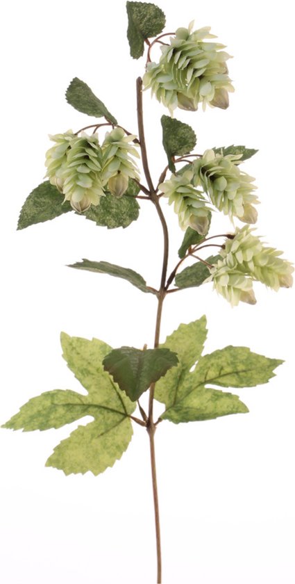 Hop bladsteker - Humulus Lupulus - Kunstplant - 68 cm - Ø 11 cm - Losse tak