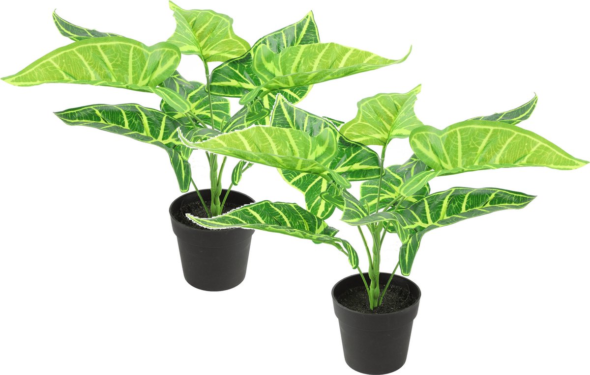 Countryfield Kunstplant Alocasia plant in bloempot - 2x - Groen - 15 x 32 cm