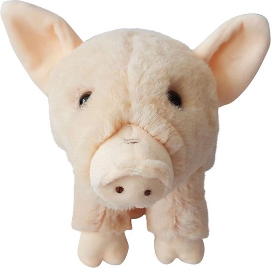 Peluche Sanglier 29cm