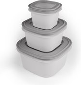 Sunware Sigma home Boîtes de conservation - Contenants pour congélateur - Sans BPA - 3 pièces - 0+ 1,8L + 3,8L - Grijs