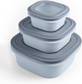Sunware Sigma home Contenants fraîcheur - Contenants de congélation - Sans BPA - 3 pièces - 0,5L + 0, 3L + 2,8L - Blauw
