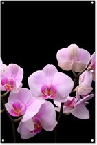 Tuinposter - Tuindoek - Tuinposters buiten - Orchidee - Bloemen - Roze - Flora - 80x120 cm - Tuin
