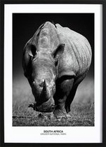 Rhino Poster (29,7x42cm) - Wallified - Natuur - Landschap - Zee - Poster - Print - Wall-Art - Woondecoratie - Kunst - Posters