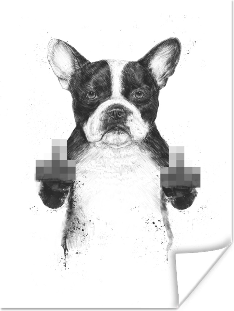 Poster Hond - Dier - Vingers - Wit - 30x40 cm