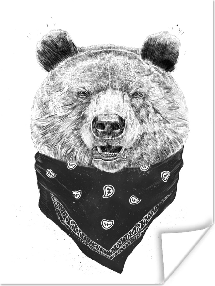 Poster Beer - Doek - Dieren - Wit - 60x80 cm
