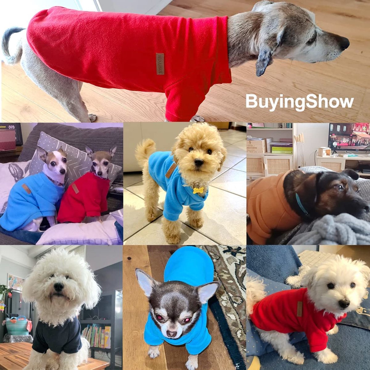 Huisdierkleding gebreide hondentrui, zachte verdikking warm pup honden shirt winter puppy trui voor honden (paars, XXS