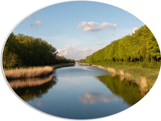 PVC Schuimplaat Ovaal - Smalle Rivier stromend door Nederlandse Bossen - 68x51 cm Foto op Ovaal (Met Ophangsysteem)