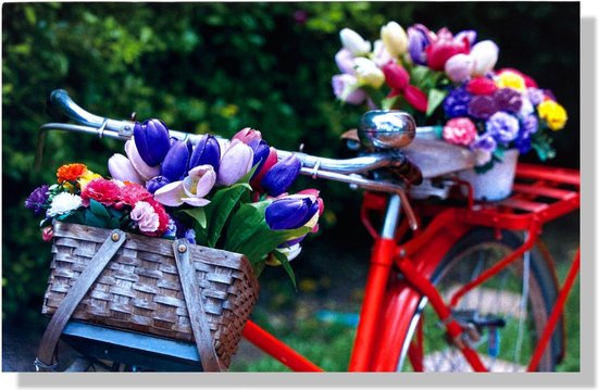 Rode fiets met mandjes gevuld met paarse, roze en witte tulpen en andere bloemen.