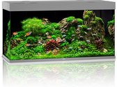 Juwel Aquarium Rio 350 Led 121x51x66 cm - Aquaria - Grijs