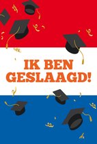 Geslaagd raamsticker - Nederlandse vlag - 60x90 cm - geslaagd sticker - geslaagd versiering - eenvoudig plakken - eenvoudig verwijderen - geslaagd sticker - geslaagd vlag - raamsticker - eind examen vlag - eind examen sticker
