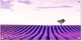 Tuinposter Lavendel - Bomen - Paars - Bloemen - 80x40 cm - Wanddecoratie Buiten - Tuinposter - Tuindoek - Schuttingposter - Tuinschilderij