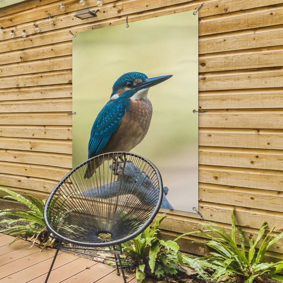 Affiche de Jardin Martin-pêcheur - Branche - Vogel - 200x200 cm - Toile de jardin