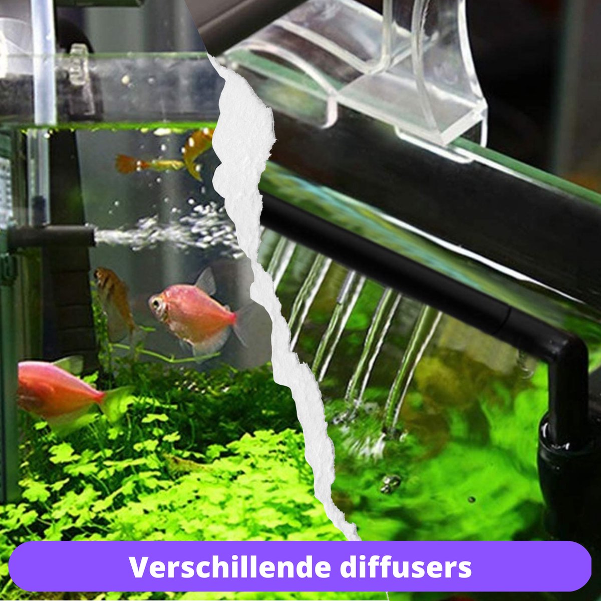 Filtre aquarium 1000L/H 150L-250L – Pompe filtre aquarium – Pompe