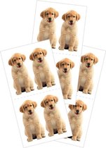 Golden Retriever Puppies Stickers