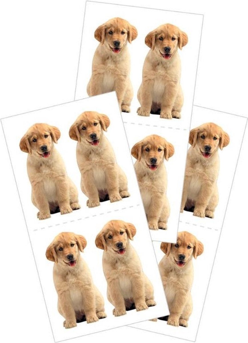 Golden Retriever Puppies Stickers-