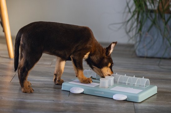 Beeztees Puppy Training Game Riff - Jouet pour chien - Vert - 35x21.5x7