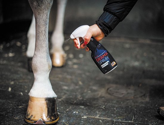 Cavalor Derma Spray - Paardenvachtverzorging - 250 ml 0.25 kg - Cavalor