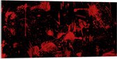 Acrylglas - Rode Verfspetters en Vlekken op Zwarte Muur - 100x50 cm Foto op Acrylglas (Met Ophangsysteem)