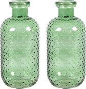 Countryfield Bloemenvaas Cactus Dots - 2x - groen transparant - glas - D11 x H24 cm