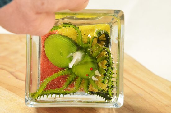 Leuk voor Halloween: Prachtige GELKAARS met SPIN - hoogte: 8 cm, gewicht is 620 gram - Gemaakt door Candles by MilaNNE - BEKIJK VIDEO