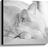 Canvas - Slapende Kat (zwart- wit) - 60x60 cm Foto op Canvas Schilderij (Wanddecoratie op Canvas)