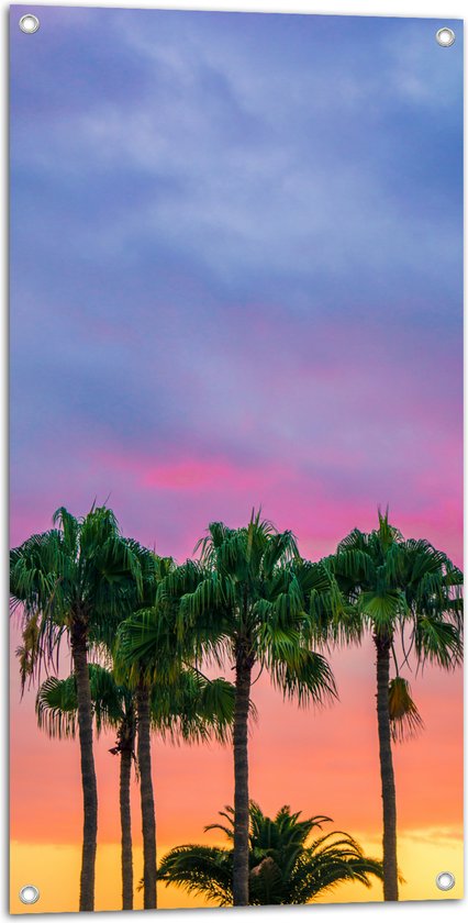 WallClassics - Tuinposter – Palmbomen met Kleurrijke Lucht - 50x100 cm Foto op Tuinposter (wanddecoratie voor buiten en binnen)