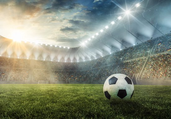 Papier peint photo - Voetbal - Stade - Terrain de football - Papier peint non tissé - (368 x 254 cm)