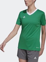 adidas Performance Entrada 22 Voetbalshirt - Dames - Groen - 2XS