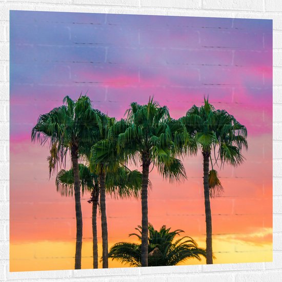 WallClassics - Muursticker - Palmbomen met Kleurrijke Lucht - 100x100 cm Foto op Muursticker