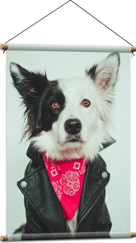 WallClassics - Textielposter - Zwart met Witte Stoere Hond met Leren Jas en Sjaaltje - 60x90 cm Foto op Textiel
