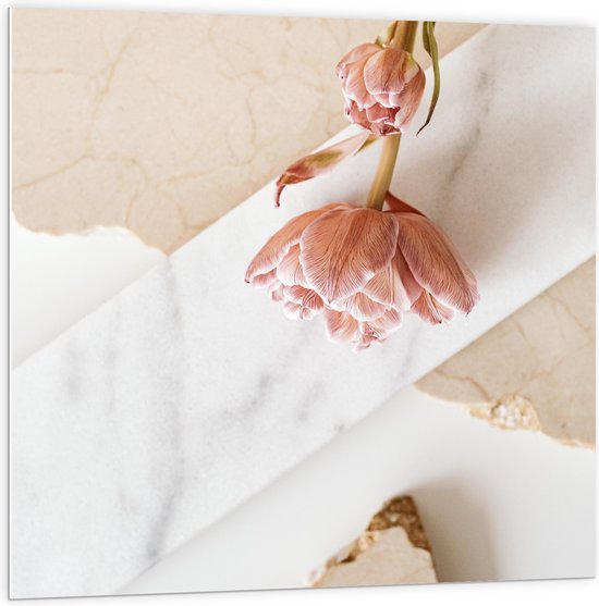 PVC Schuimplaat - Roze Bloemen Liggend op Marmeren Plaat - 100x100 cm Foto op PVC Schuimplaat (Met Ophangsysteem)