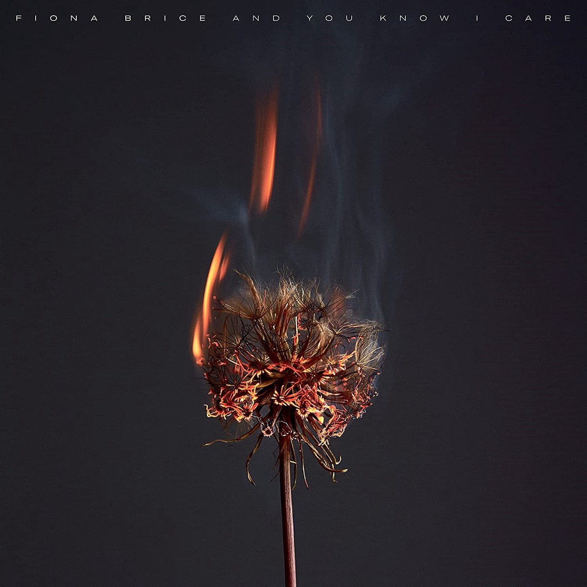 Fiona Brice - And You Know I Care (LP)