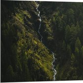 WallClassics - Dibond - Klein Stromend Water tussen Dichtbegroeide Groene Bomen - 80x80 cm Foto op Aluminium (Met Ophangsysteem)