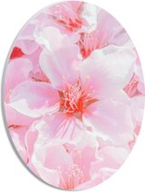 PVC Schuimplaat Ovaal - Japanse Sakura Bloesem Bloemen in het Roze - 21x28 cm Foto op Ovaal (Met Ophangsysteem)