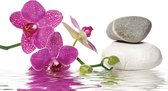 Fotobehang - Vlies Behang - Orchideeën en Stenen in het Water - SPA - Wellness - 254 x 184 cm