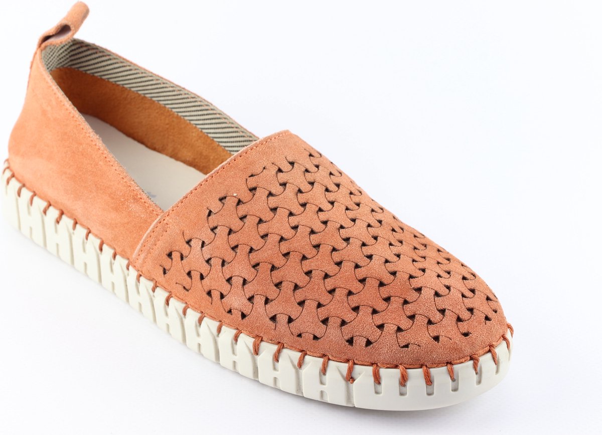 Sioux Rachida.6169291 Macaron