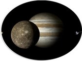 PVC Schuimplaat Ovaal - Verschillende Planeten bij Elkaar - 28x21 cm Foto op Ovaal (Met Ophangsysteem)