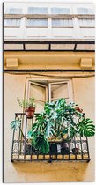 Dibond - Balkon met Groene Planten - 50x100 cm Foto op Aluminium (Wanddecoratie van metaal)