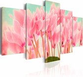 Schilderij - Cyclamen , roze groen , 5 luik