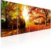 Schilderij - Betoverend bos , oranje groen , 5 luik