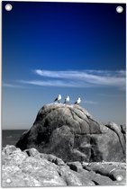 Tuinposter – Drie Zee Meeuwen op Hoge Grijze Rots in het Water - 40x60 cm Foto op Tuinposter (wanddecoratie voor buiten en binnen)