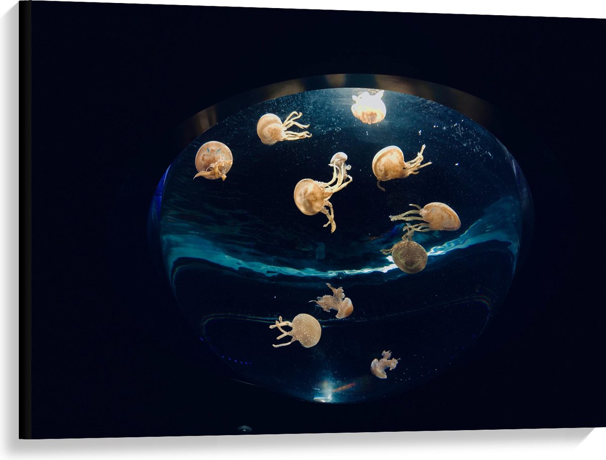 Canvas - Groepje Oranjekleurige Kwallen in Bolvormig Aquarium - 100x75 cm Foto op Canvas Schilderij (Wanddecoratie op Canvas)