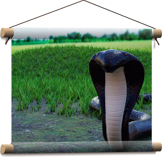 Textielposter - Aanvallende Zwarte Cobra Slang bij Groenkleurig Grasveld - 40x30 cm Foto op Textiel
