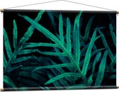 Textielposter - Druppels op Groene Planten in Donkere Omgeving - 120x80 cm Foto op Textiel
