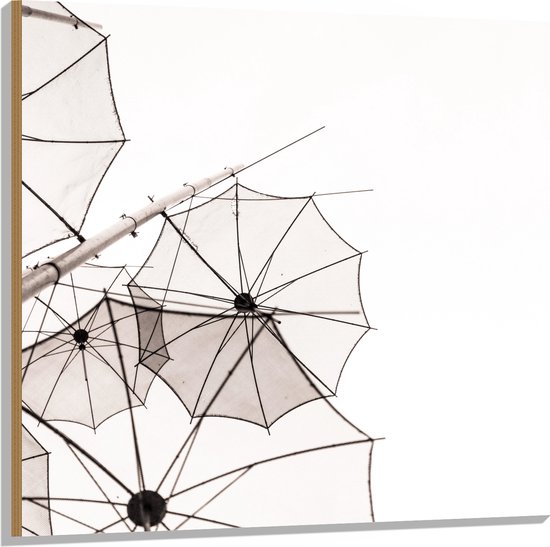 Hout - Doorzichtige Paraplu Vormen tegen Witte Achtergrond - 100x100 cm - 9 mm dik - Foto op Hout (Met Ophangsysteem)