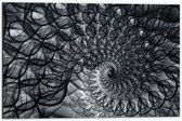 Dibond - Cirkelvormig Patroon met Zwart, Wit en Grijs - 60x40 cm Foto op Aluminium (Wanddecoratie van metaal)