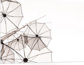 PVC Schuimplaat- Doorzichtige Paraplu Vormen tegen Witte Achtergrond - 100x75 cm Foto op PVC Schuimplaat