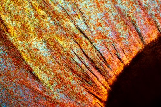 Abstracte close-up van gekleurde vezels in oranje, rood en blauw.