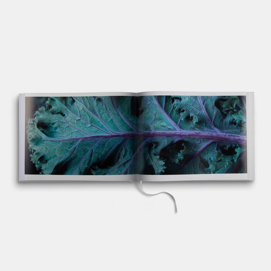 Een open boek met een close-up van de paarsgroene nerf van een boerenkoolblad.