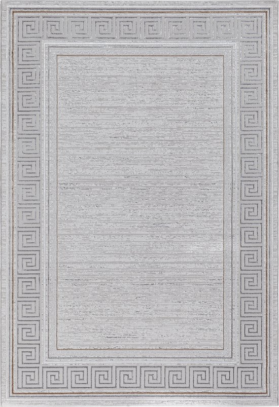 le tapis Tapis Mila tapis de salon moderne, élégant tapis de salon brillant à poils courts en gris avec bordure argentée dorée, tapis 160 x 230 cm
